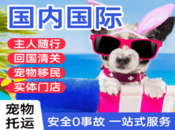 重庆仙女山空运地址国际宠物托运 【国